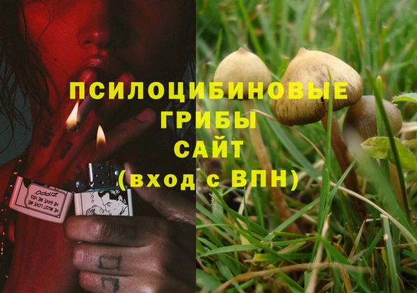 каннабис Беломорск