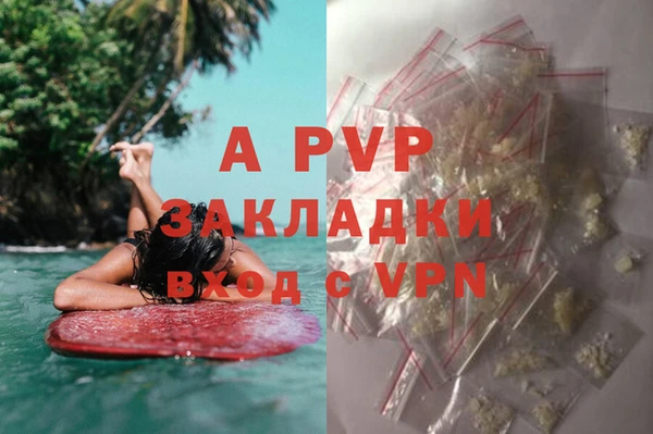 амфетамин Белокуриха