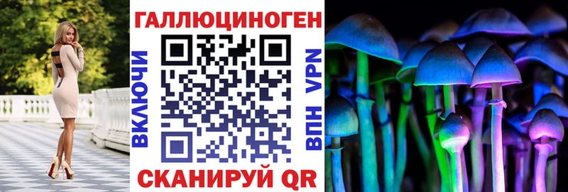 Галлюциногенные грибы Cubensis  Гулькевичи 