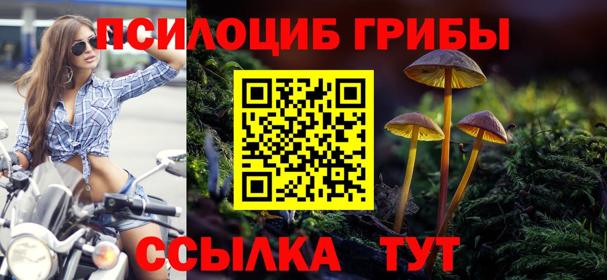 Псилоцибиновые грибы GOLDEN TEACHER Гулькевичи