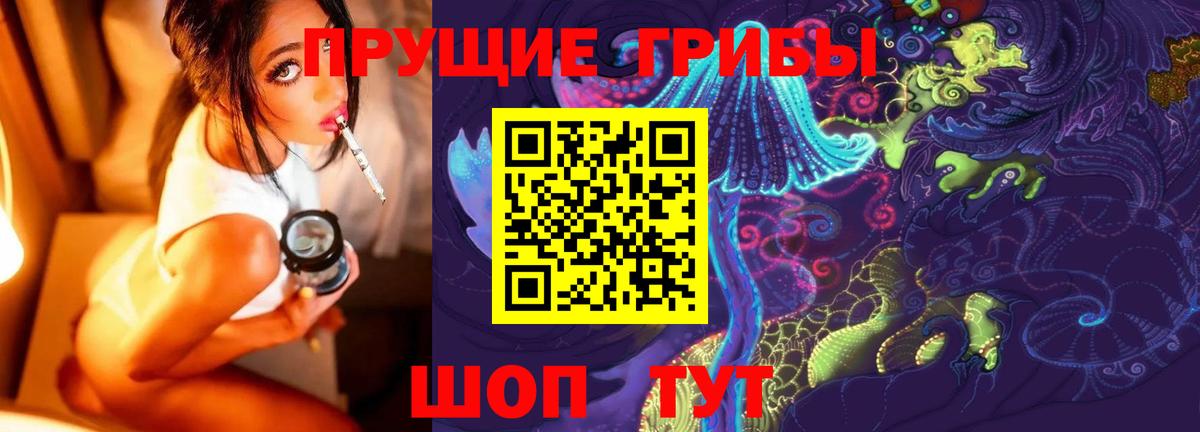 Гулькевичи  Галлюциногенные грибы Psilocybe  Вход с VPN 