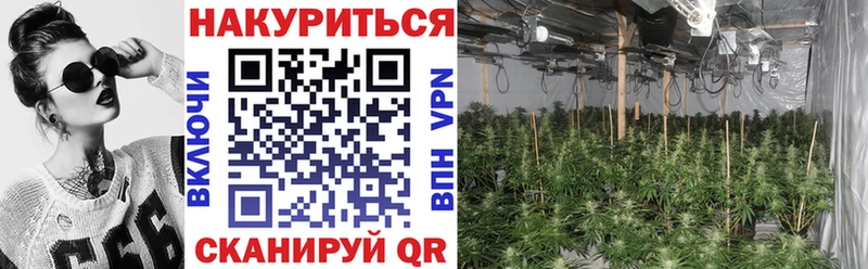 хочу наркоту  Гулькевичи  Марихуана гибрид 